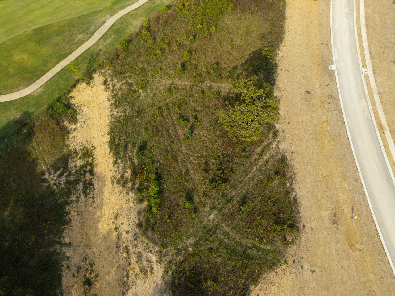 Brushy hillside with sparse trees and dirt path nearby
