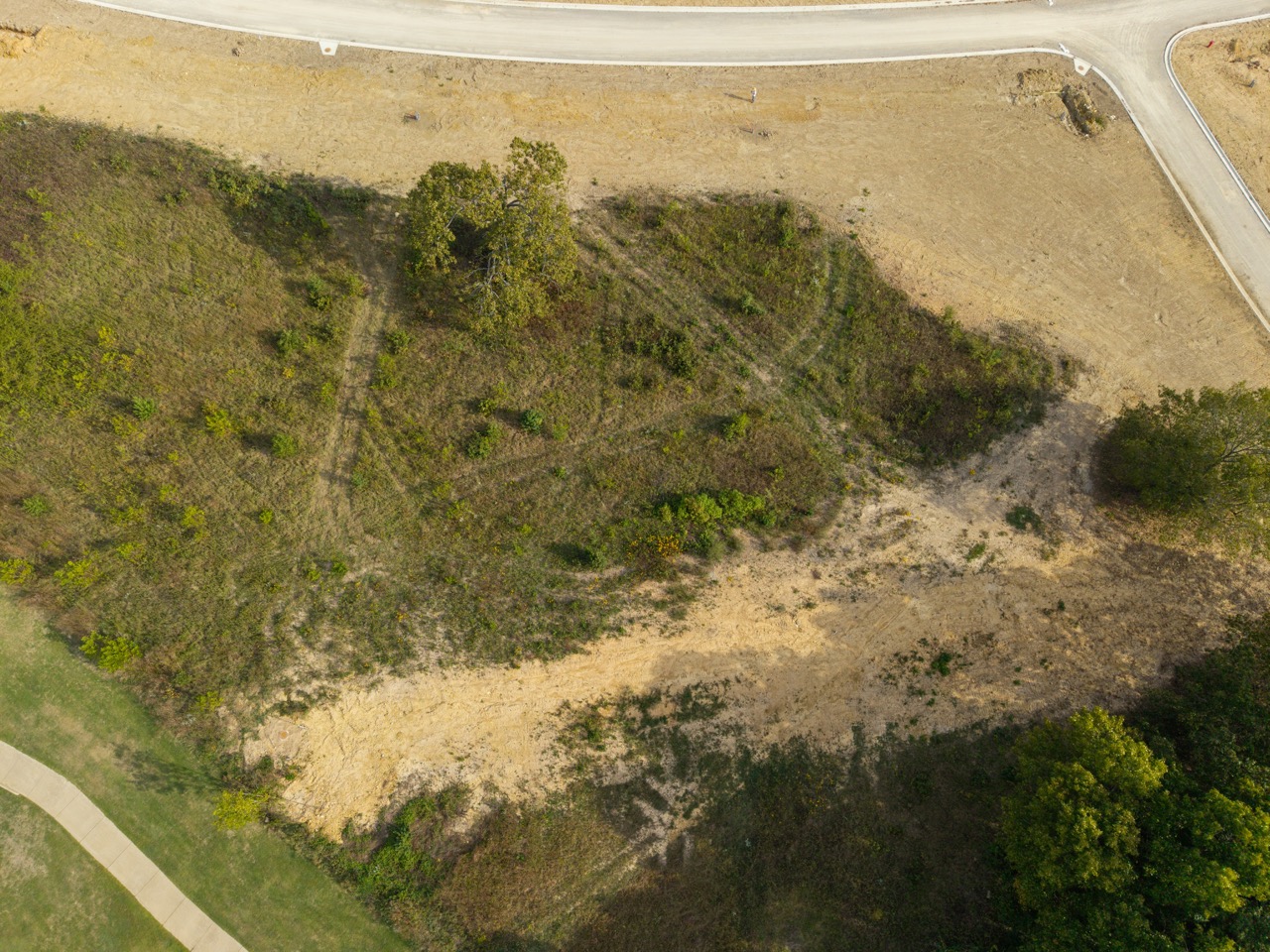 Brushy hillside with scattered trees and dirt clearing