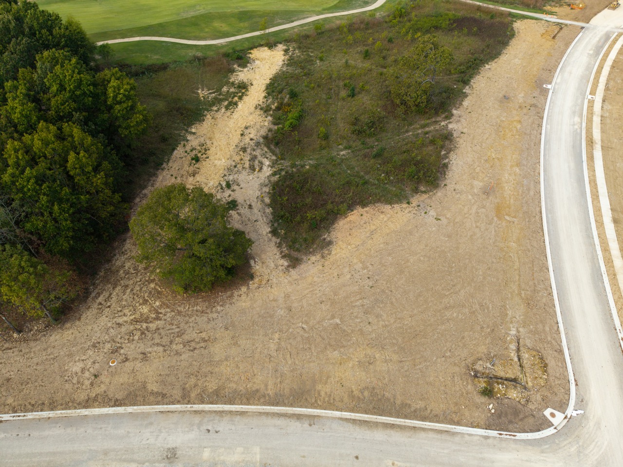 Empty dirt lot with sparse vegetation beside curved road.