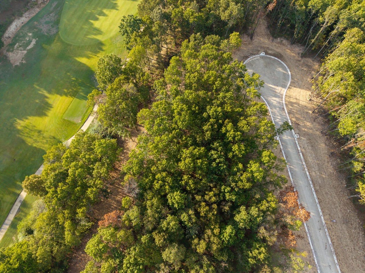 Aerial view of dense forest canopy.