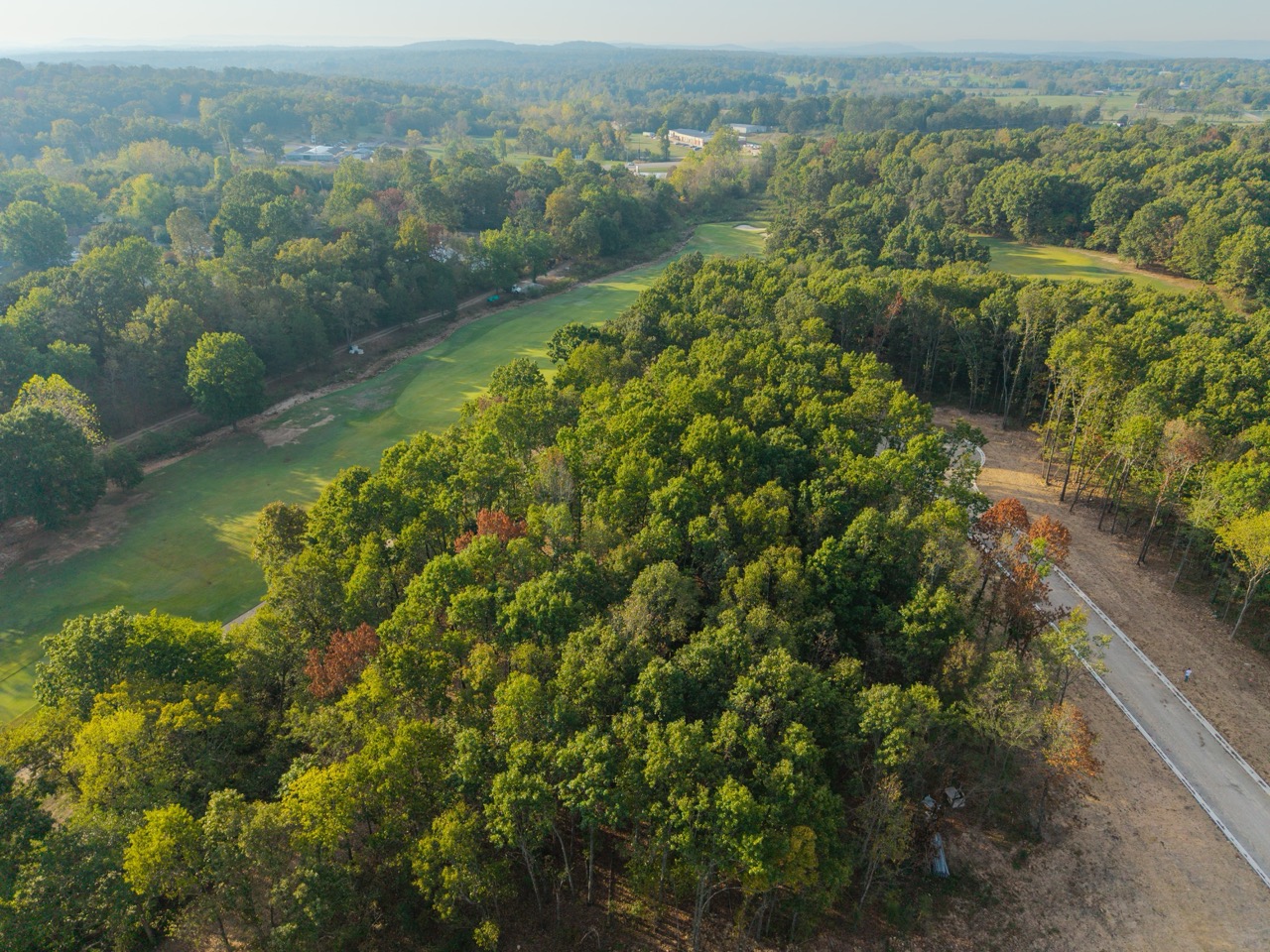 Aerial view of golf course fairway amid trees