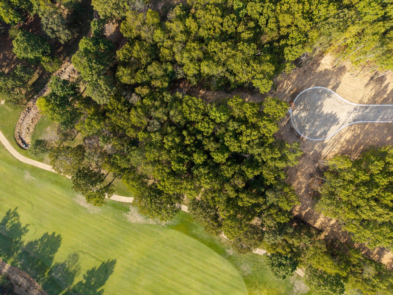 Curved golf cart path through trees