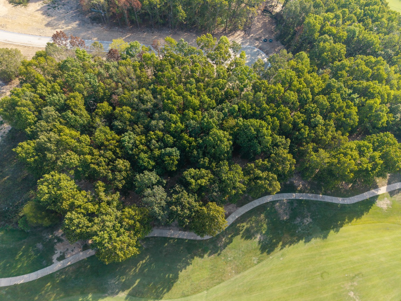 Aerial view of dense green forest canopy