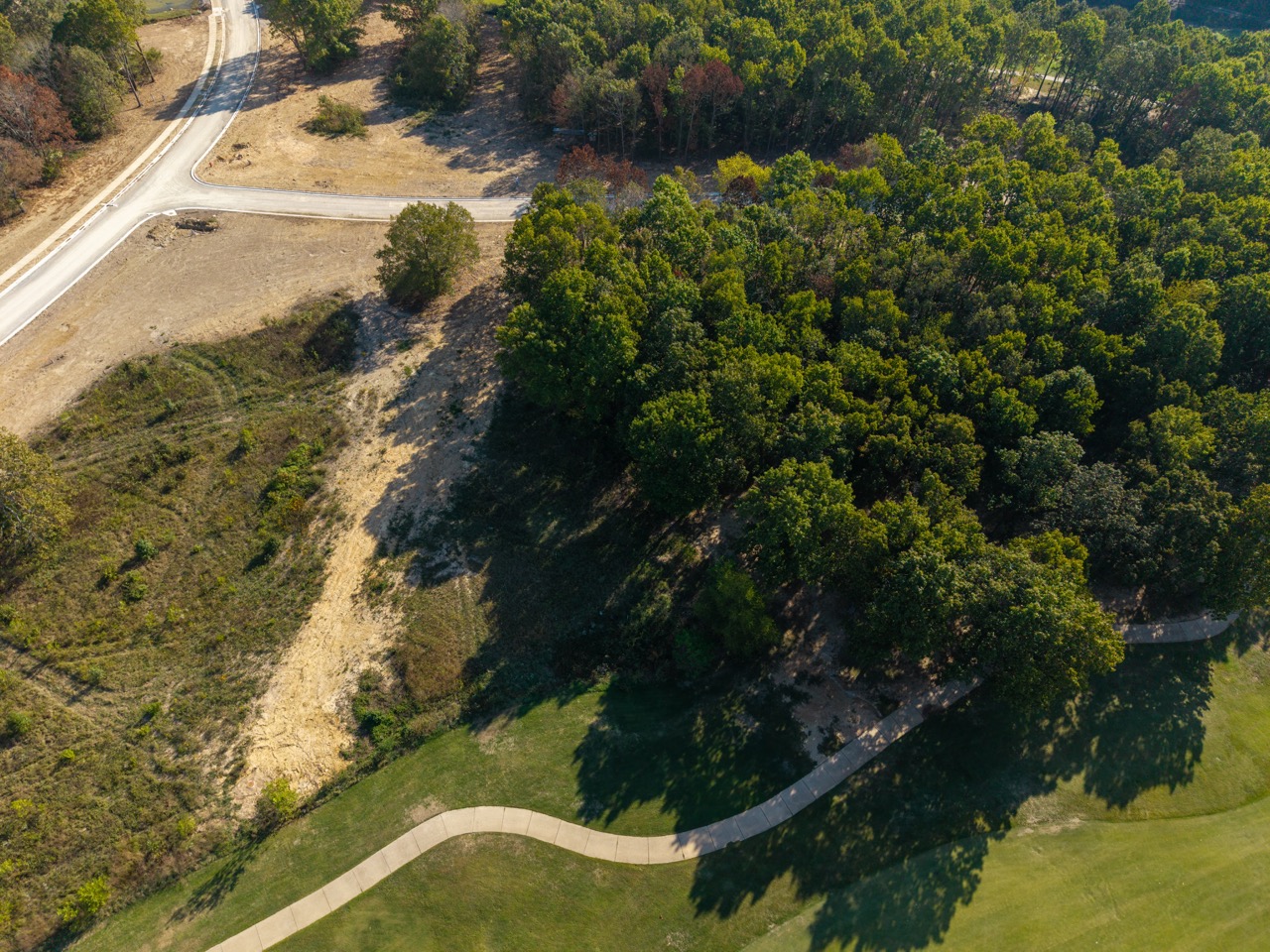 Dense forest canopy on hillside.