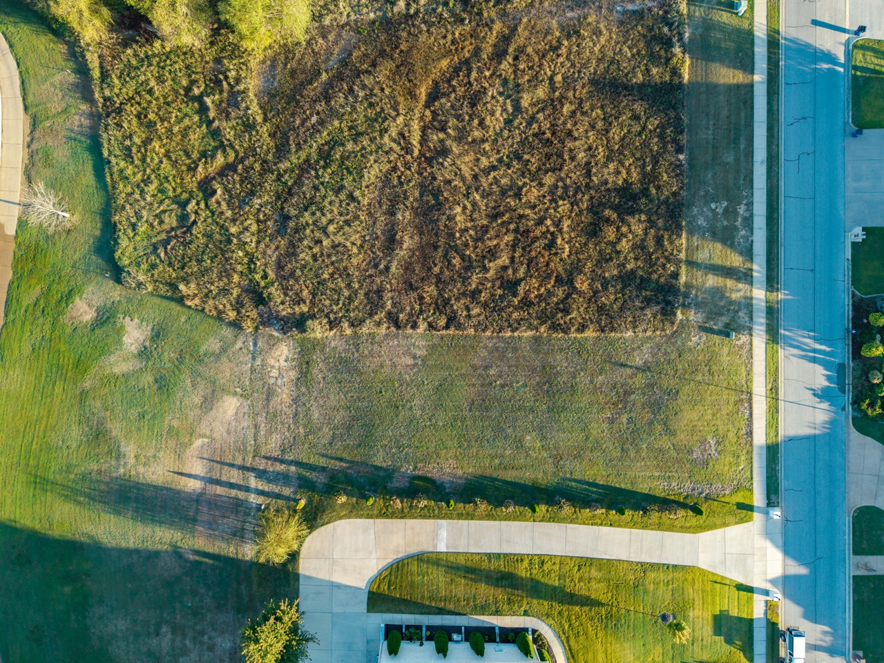 Dense wooded lot viewed from above