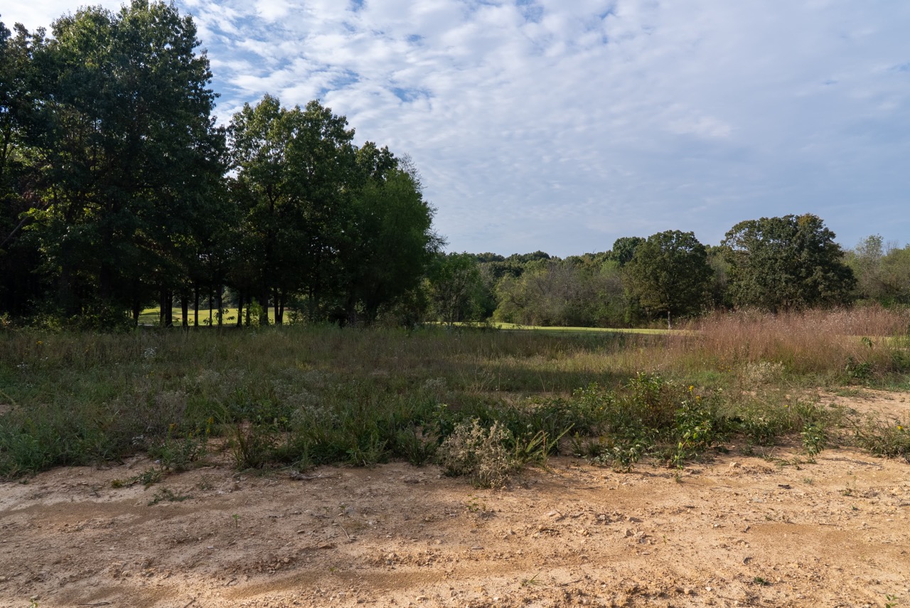 Trees form a forest edge along a grassy field.