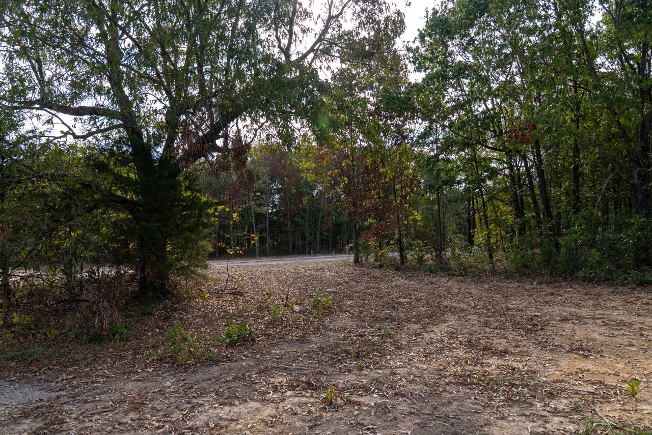 dirt path through forest