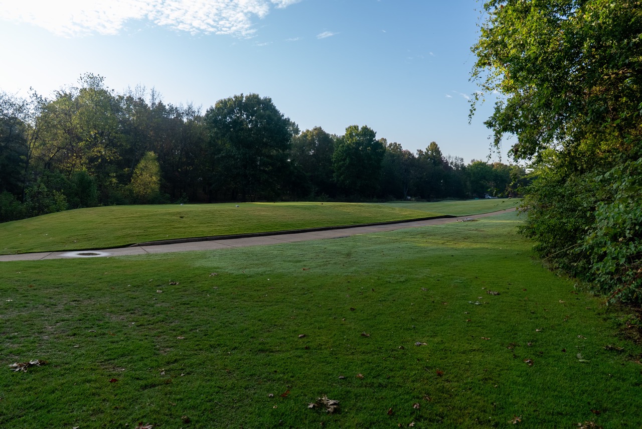 Grassy park with path and trees