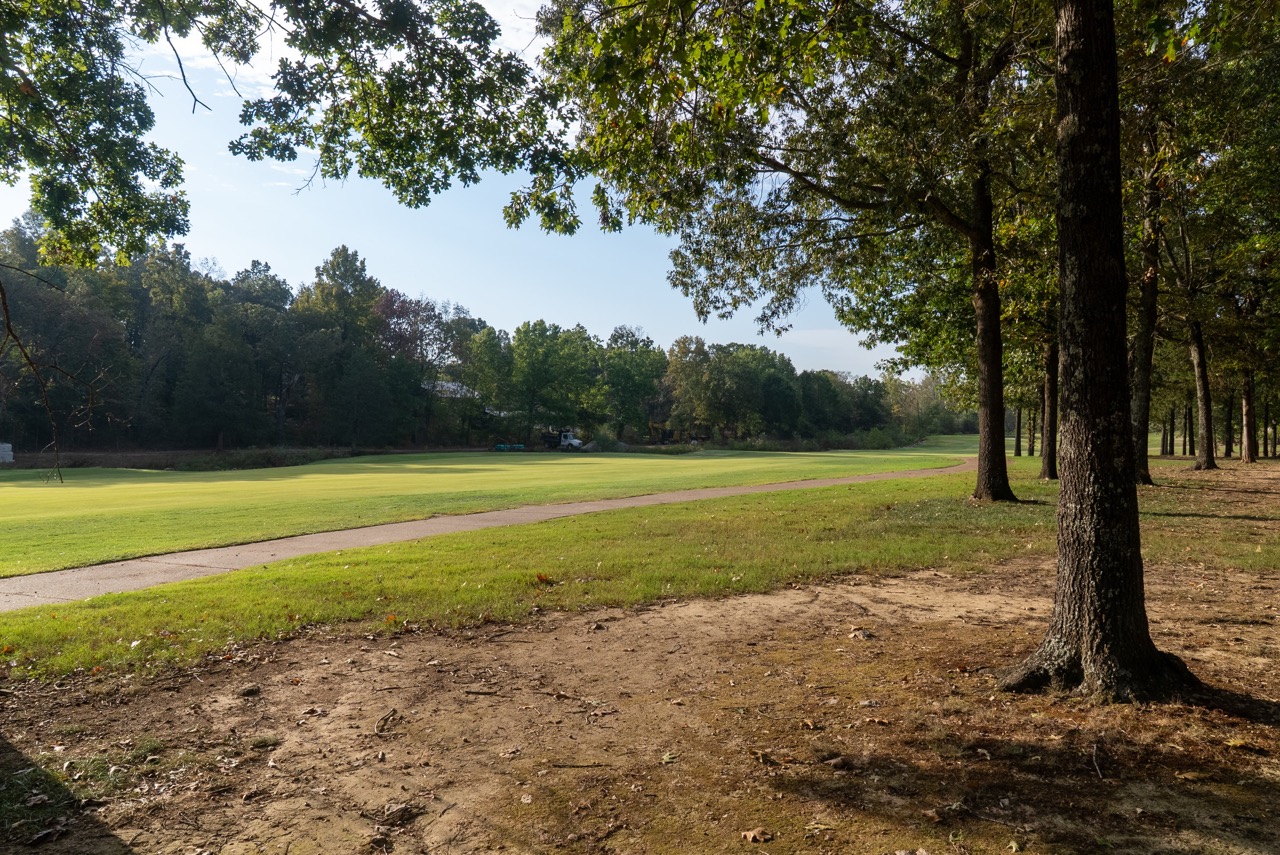 Row of trees along dirt path in a park