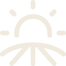 Sunrise over horizon with rays